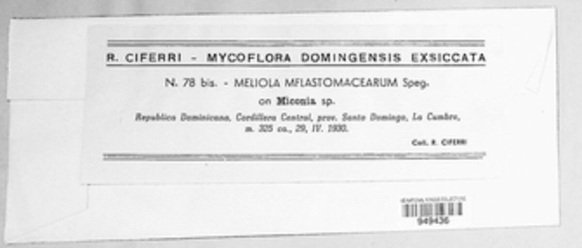 Asteridiella melastomatacearum image